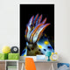 Gills Colorful Hypselodoris Nudibranch Wall Decal