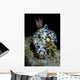 Colorful Hypselodoris Nudibranch Milne Wall Decal