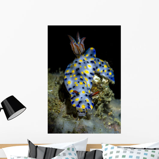 Colorful Hypselodoris Nudibranch Milne Wall Decal