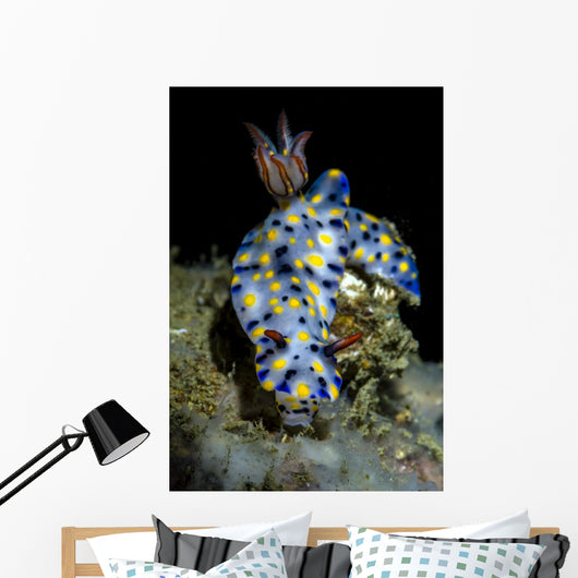 Colorful Hypselodoris Nudibranch Milne Wall Decal
