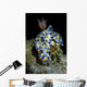 Colorful Hypselodoris Nudibranch Milne Wall Decal