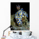 Colorful Hypselodoris Nudibranch Milne Wall Decal