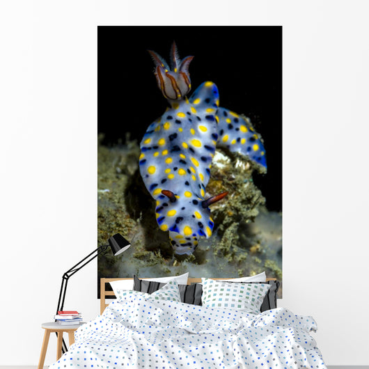 Colorful Hypselodoris Nudibranch Milne Wall Decal