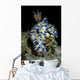 Colorful Hypselodoris Nudibranch Milne Wall Decal
