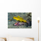 Yellow Shrimp Goby with Wall Decal