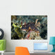 Nembrotha Nudibranch Milne Bay Wall Decal