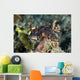 Nembrotha Nudibranch Milne Bay Wall Decal
