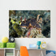 Nembrotha Nudibranch Milne Bay Wall Decal