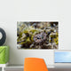 Eye Close-up Crocodile Flathead Wall Decal