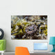 Eye Close-up Crocodile Flathead Wall Decal