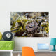 Eye Close-up Crocodile Flathead Wall Decal