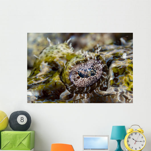 Eye Close-up Crocodile Flathead Wall Decal