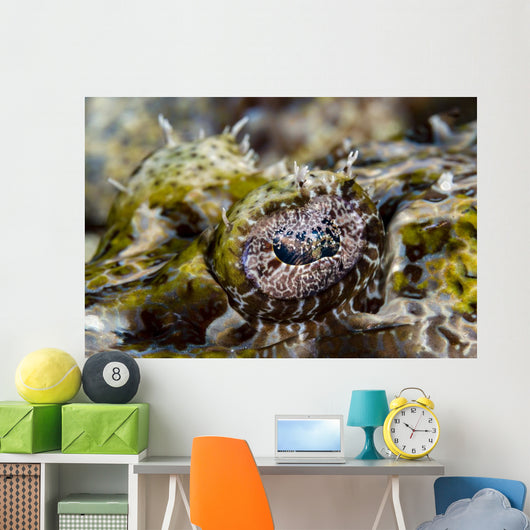 Eye Close-up Crocodile Flathead Wall Decal