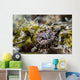 Eye Close-up Crocodile Flathead Wall Decal