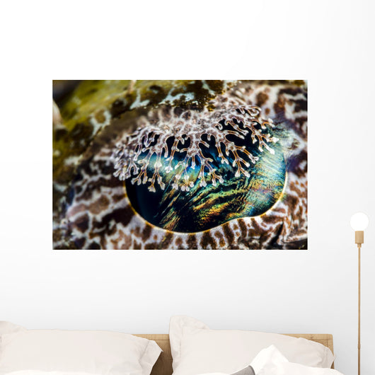 Eye Detail Crocodile Flathead Wall Decal