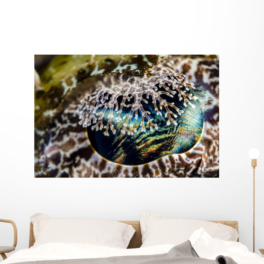 Eye Detail Crocodile Flathead Wall Decal