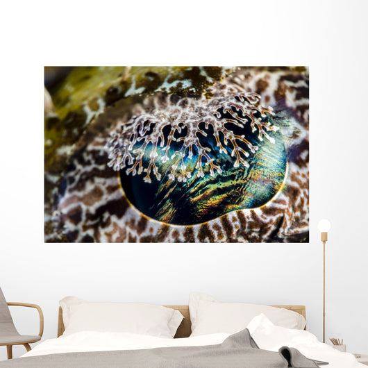 Eye Detail Crocodile Flathead Wall Decal