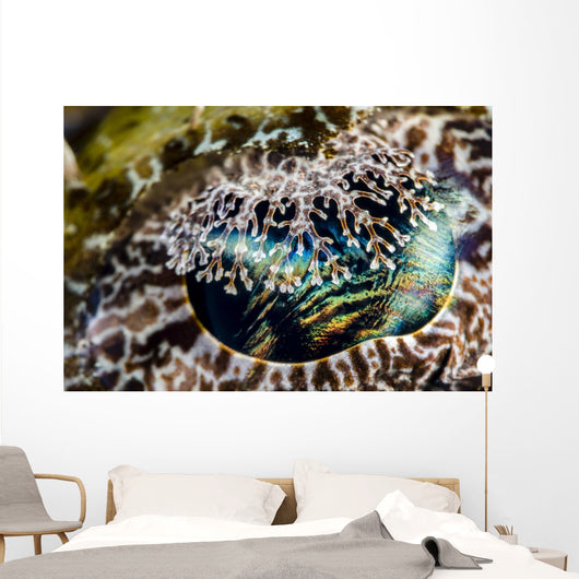 Eye Detail Crocodile Flathead Wall Decal