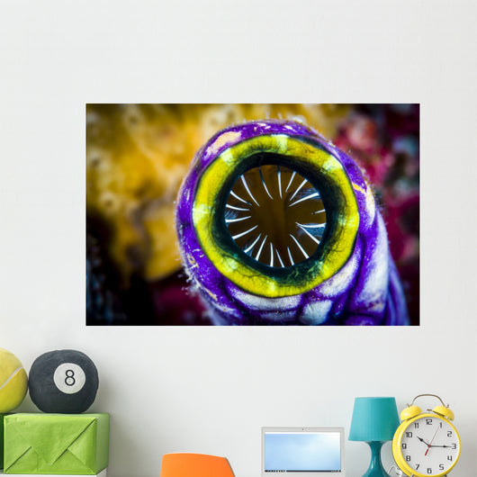 Sea Squirt New Ireland Wall Decal