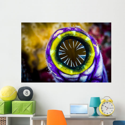 Sea Squirt New Ireland Wall Decal