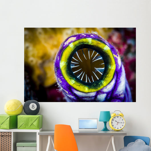 Sea Squirt New Ireland Wall Decal