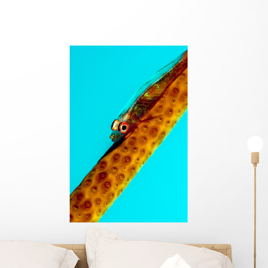 Large Whip Coral Goby Wall Decal