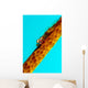 Large Whip Coral Goby Wall Decal