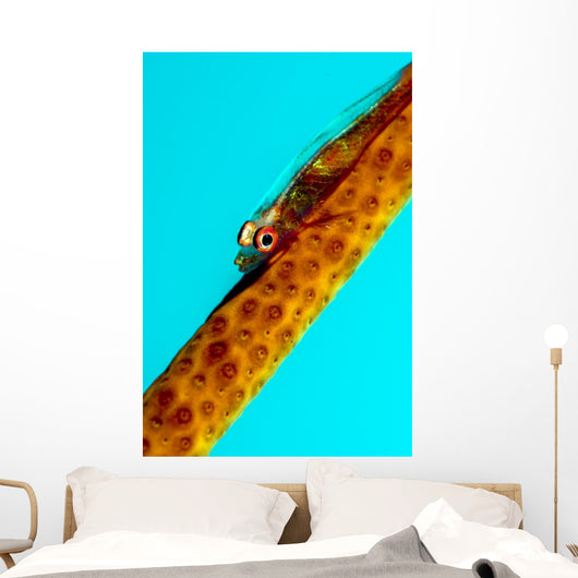 Large Whip Coral Goby Wall Decal