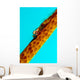 Large Whip Coral Goby Wall Decal