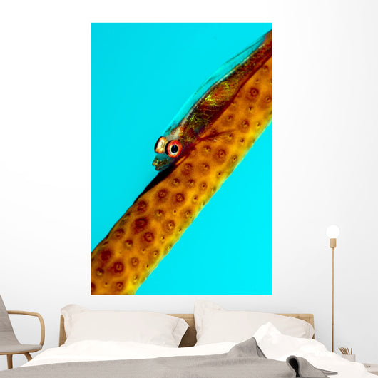Large Whip Coral Goby Wall Decal