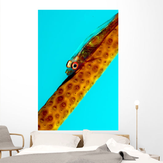Large Whip Coral Goby Wall Decal