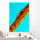 Large Whip Coral Goby Wall Decal
