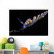 Cuthona Sibogae Nudibranch New Wall Decal