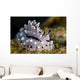 Pipek's Phyllidiopsis Nudibranch New Wall Decal