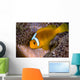 White-bonnet Anemonefish Variation Merten's Wall Decal