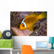 White-bonnet Anemonefish Variation Merten's Wall Decal