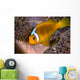 White-bonnet Anemonefish Variation Merten's Wall Decal