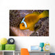 White-bonnet Anemonefish Variation Merten's Wall Decal