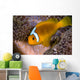 White-bonnet Anemonefish Variation Merten's Wall Decal