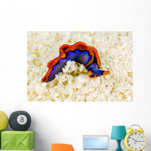 Orange-edged Sapsucking Slug New Wall Decal