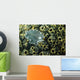 Undescribed Flatworm Tunicates New Wall Decal
