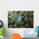 Undescribed Flatworm Tunicates New Wall Decal
