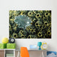 Undescribed Flatworm Tunicates New Wall Decal