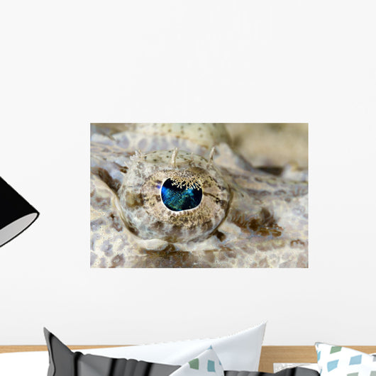 Eye Detail Juvenile Crocodilefish Wall Decal