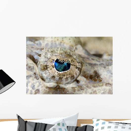 Eye Detail Juvenile Crocodilefish Wall Decal