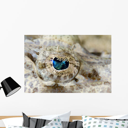Eye Detail Juvenile Crocodilefish Wall Decal
