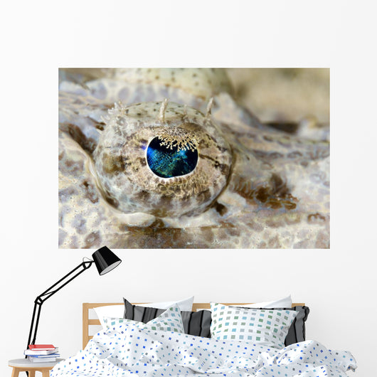 Eye Detail Juvenile Crocodilefish Wall Decal