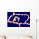 Denise Pygmy Seahorse New Wall Decal