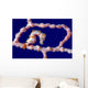 Denise Pygmy Seahorse New Wall Decal