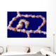 Denise Pygmy Seahorse New Wall Decal